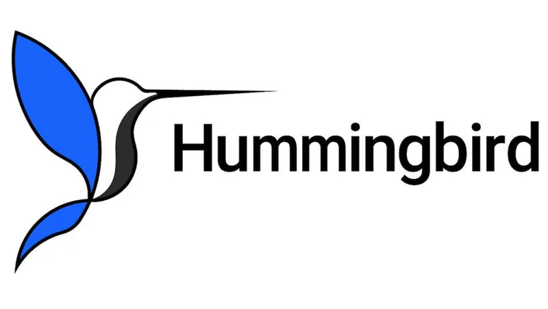 hummingbird